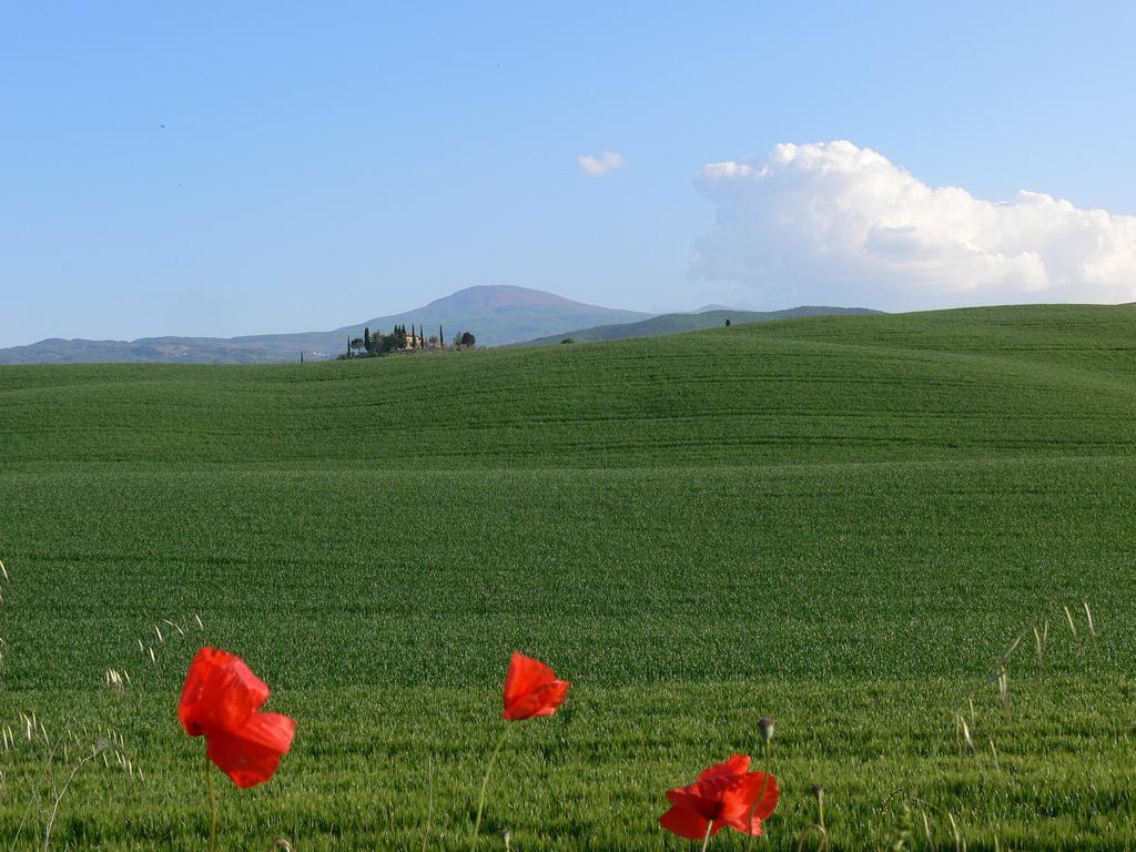 Willa Le Rogheta Campiglia dʼOrcia Zewnętrze zdjęcie